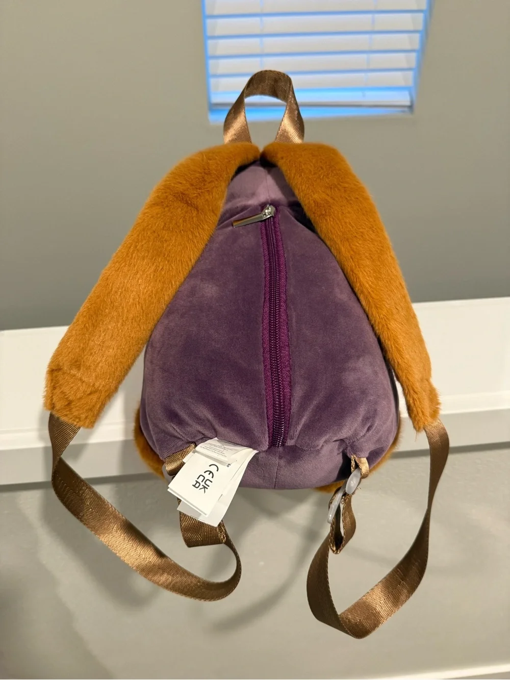 Capybara wearing Eggplant costume backpack